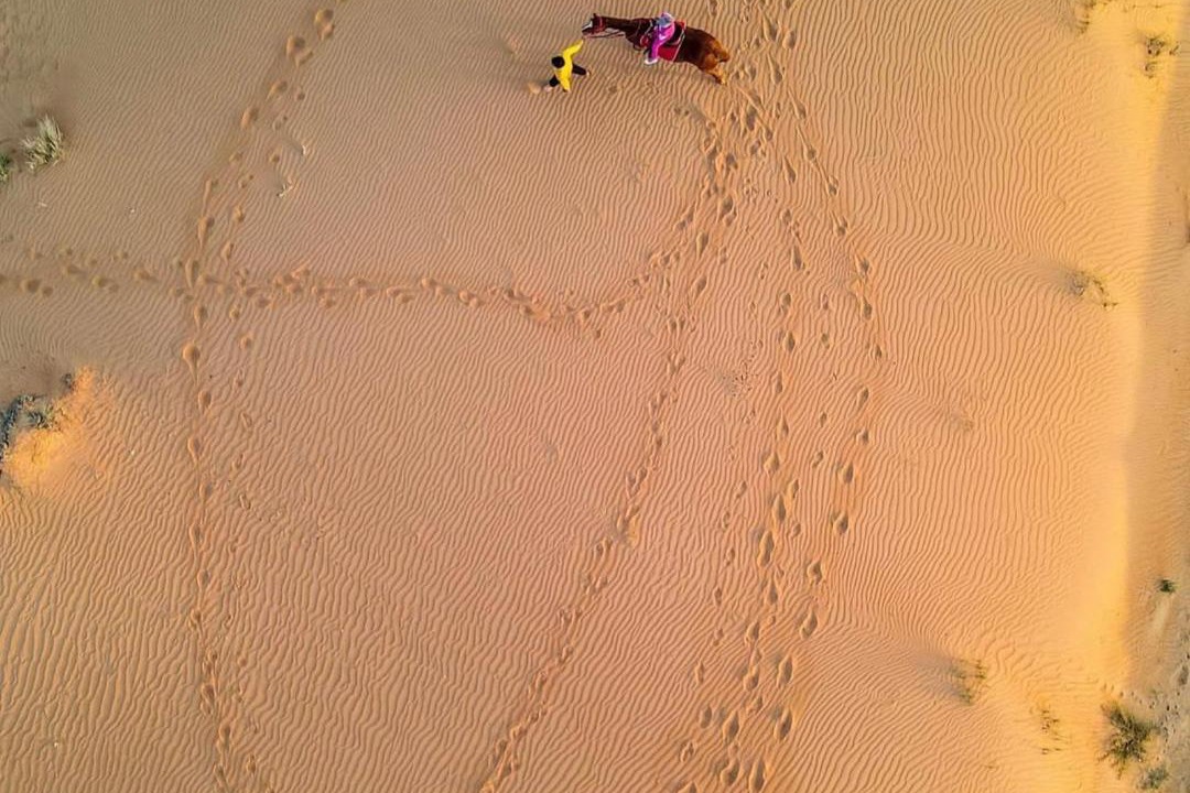 Photo of Others in Sharjah