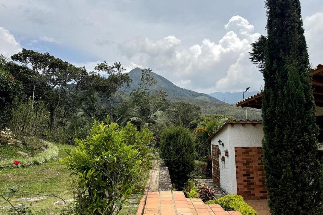 Photo of Others in Chinacota