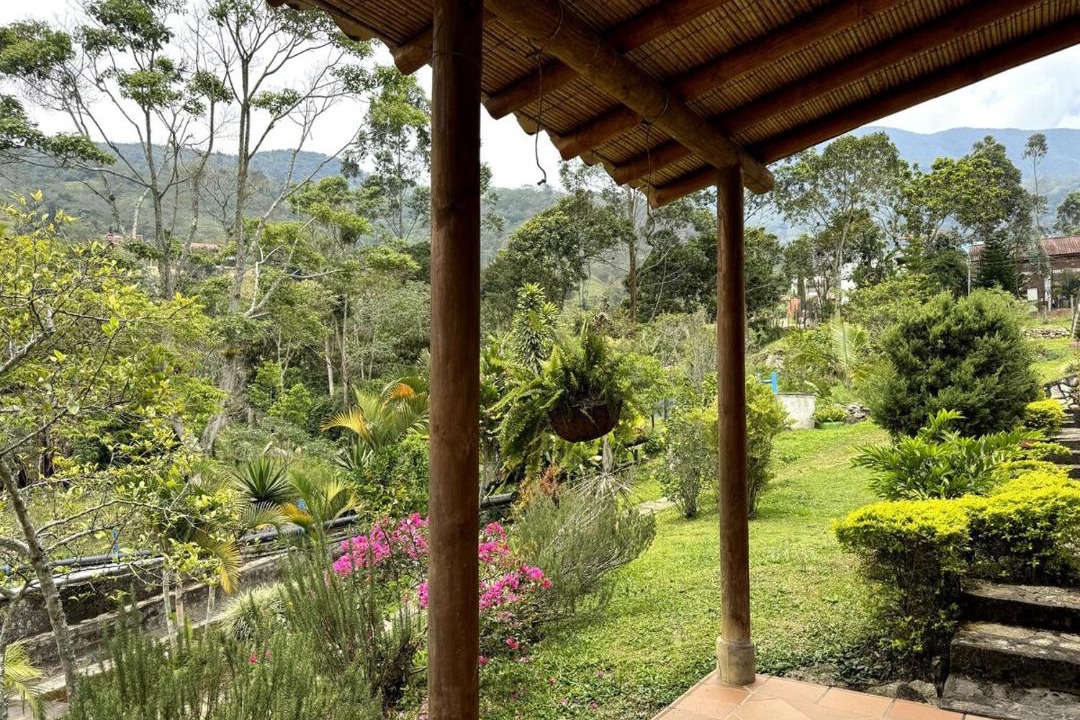 Photo of Others in Chinacota