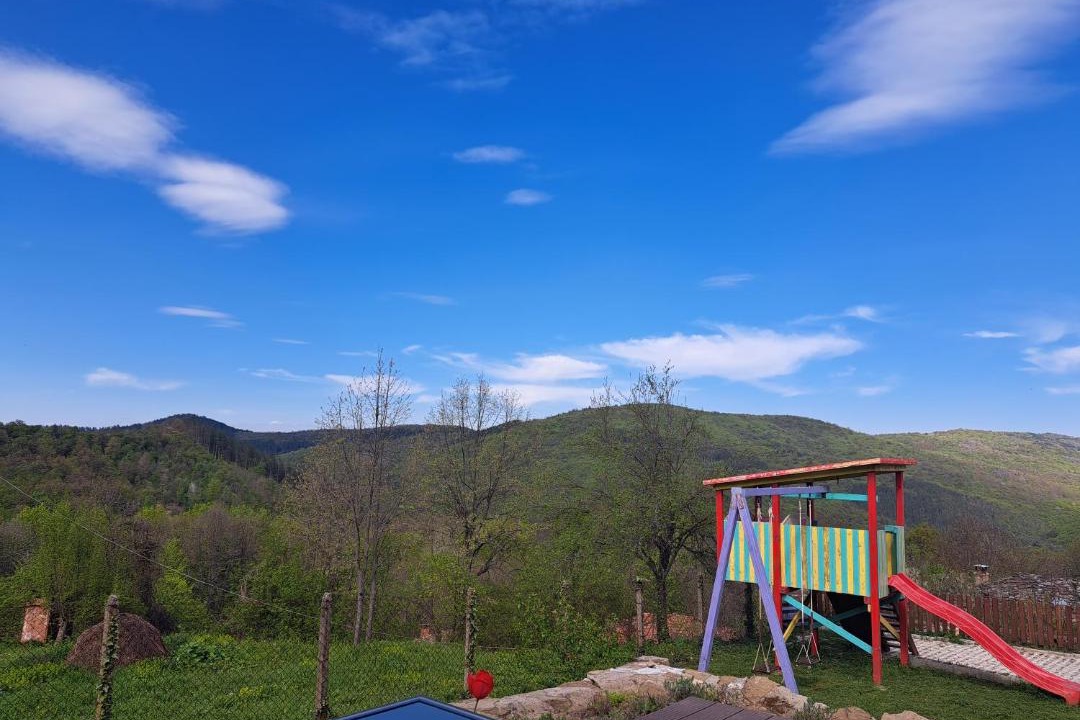 Photo of Others in Dryanovo