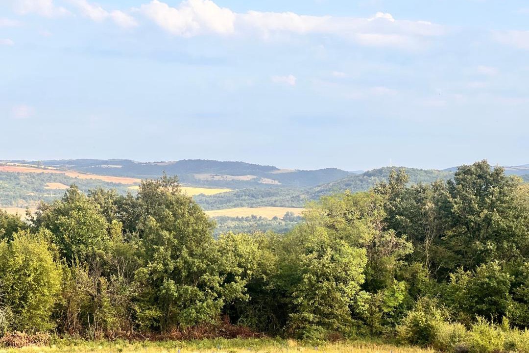 Photo of Others in Dryanovo