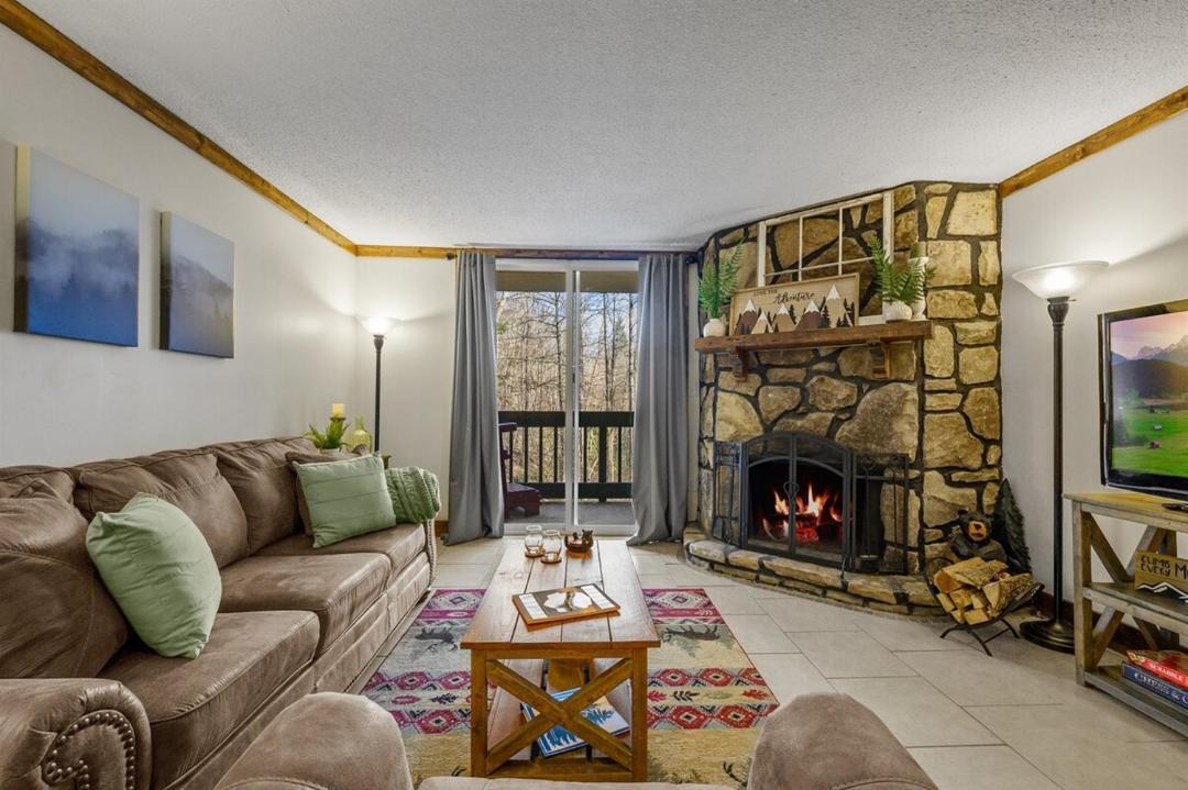 Photo of Livingroom in Chalet Village