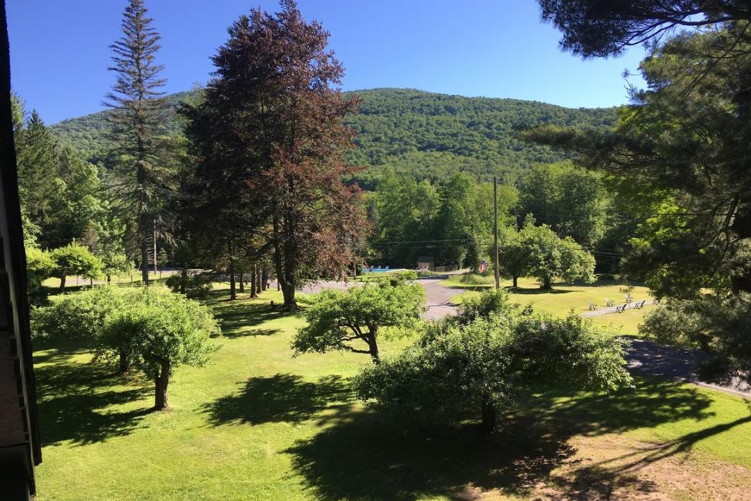 Photo of Others in Oliverea