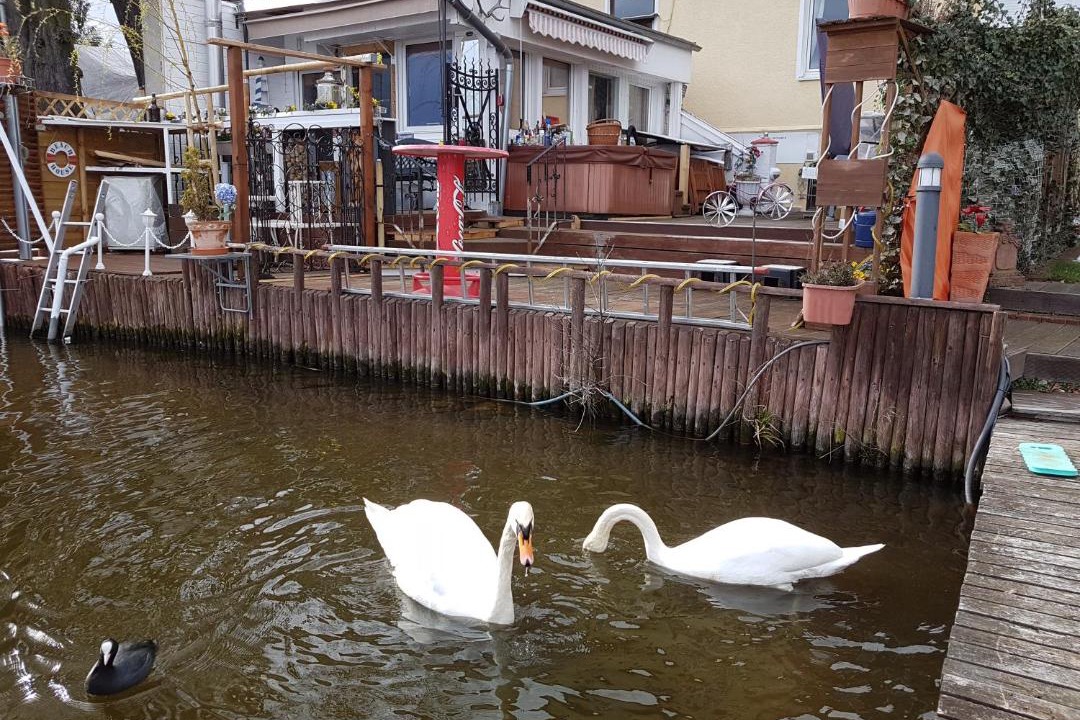 Photo of Others in Zeuthen