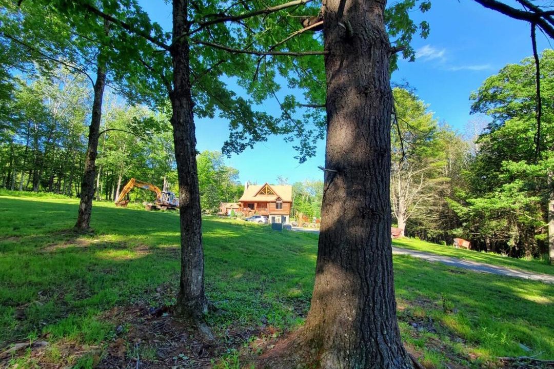 Photo of Others in Monticello