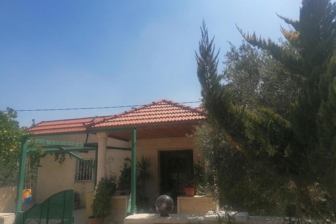 Photo of Others in Ajloun