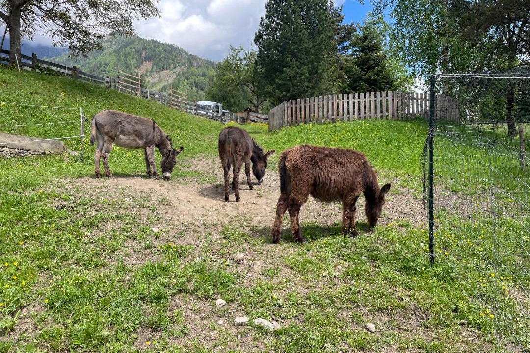 Photo of Others in Lienz