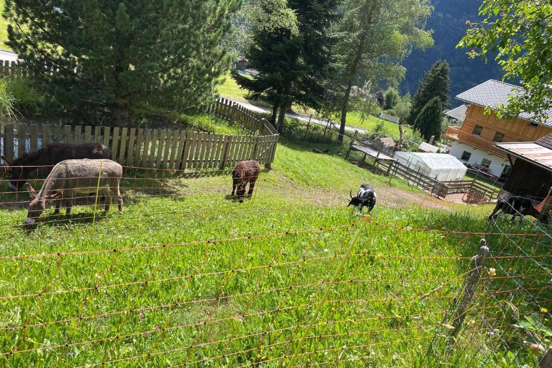 Photo of Others in Lienz