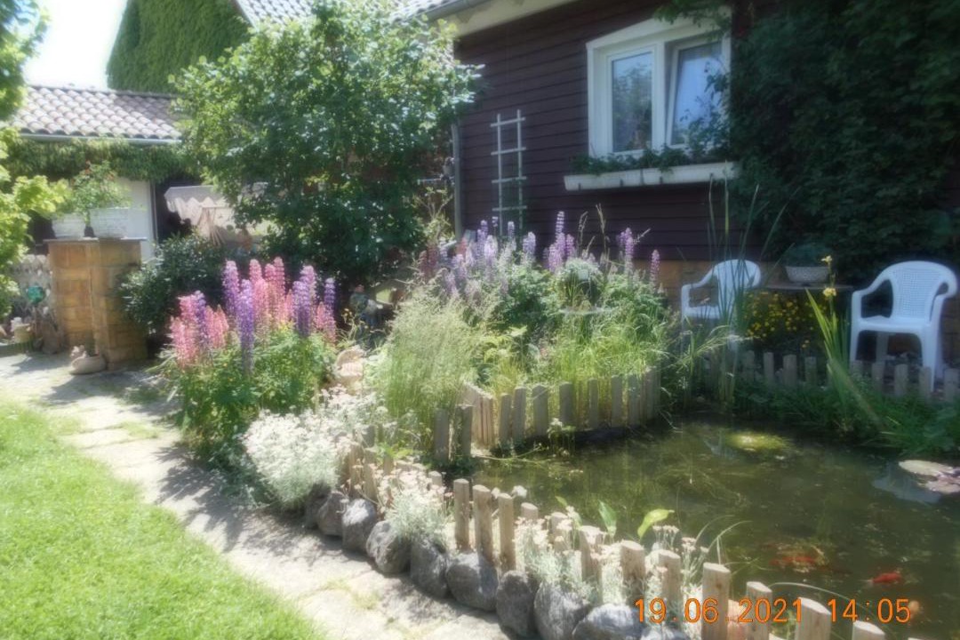Photo of Others in Dankerode