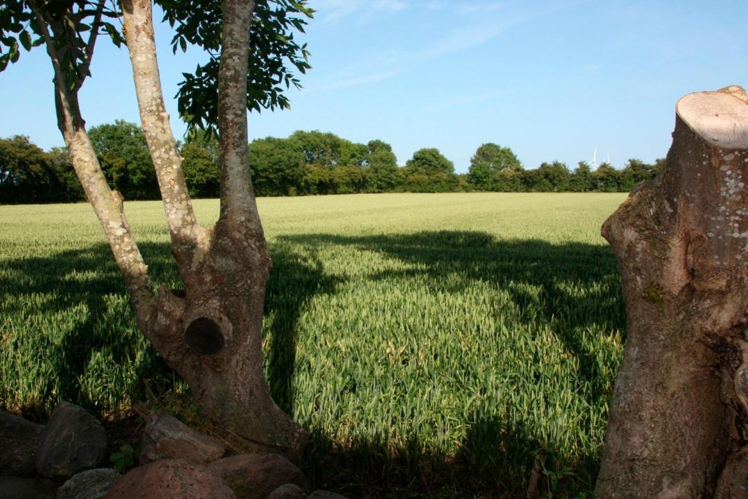 Photo of Others in Todendorf