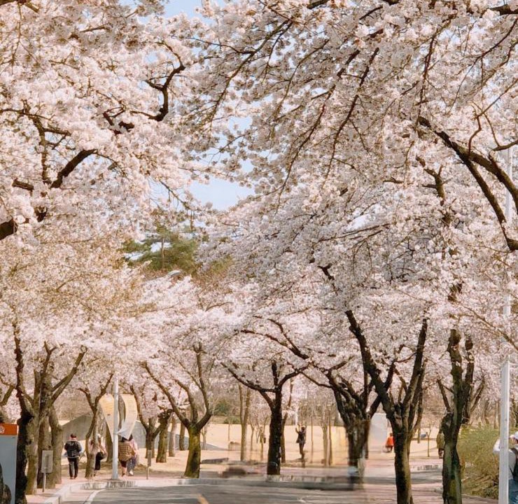 Photo of Others in Daehyeon-dong