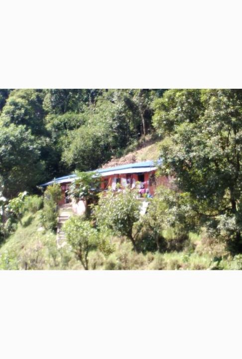 Photo of Others in Pokhara