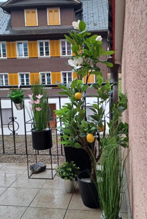 Photo of Others in Lungern