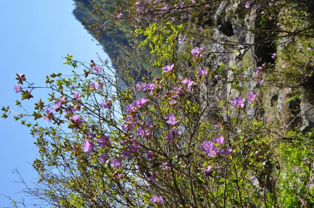 Photo of Outdoor in Cheposh