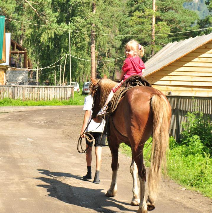 Photo of Others in Cheposh