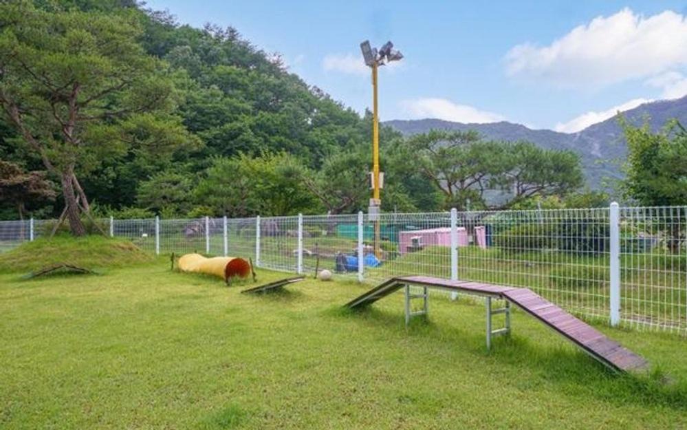 Photo of Outdoor in Muju