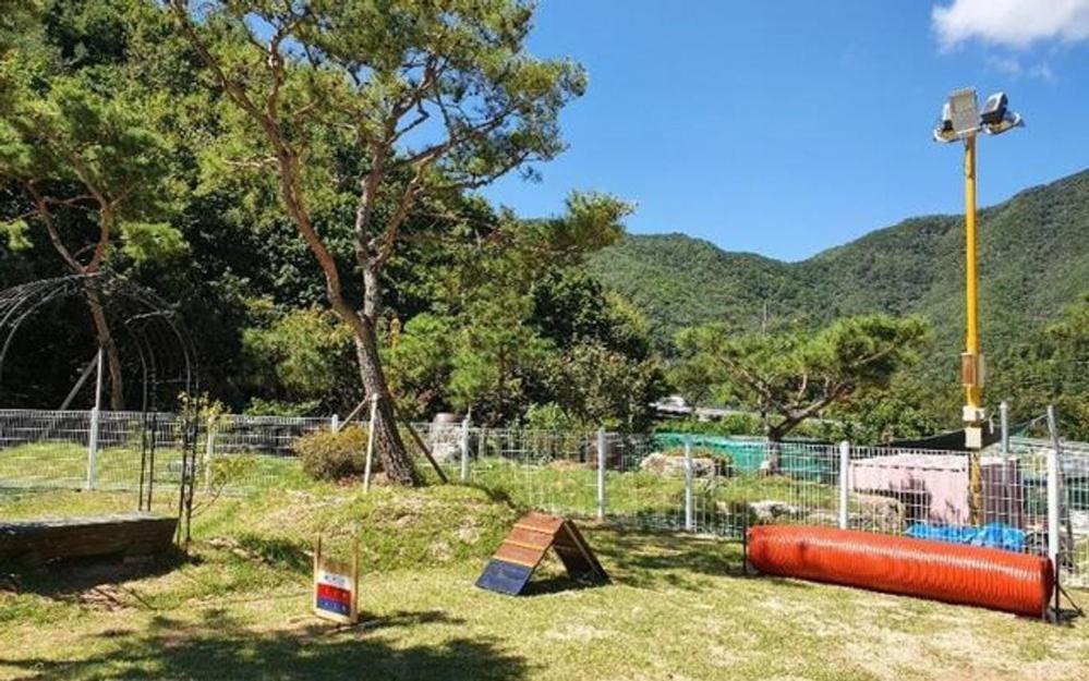 Photo of Outdoor in Muju