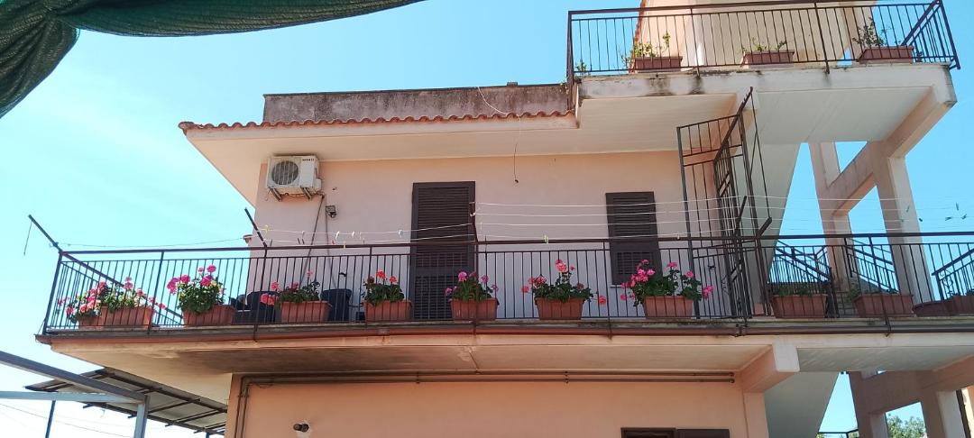 Photo of Others in Nettuno