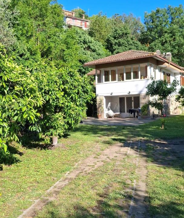 Photo of Others in Lake Bracciano