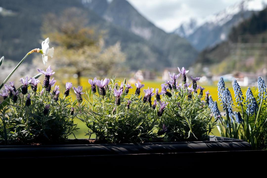 Photo of Others in Mayrhofen