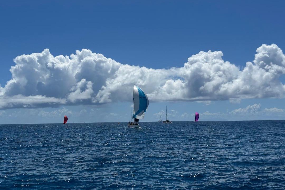 Photo of Others in Pelican Key