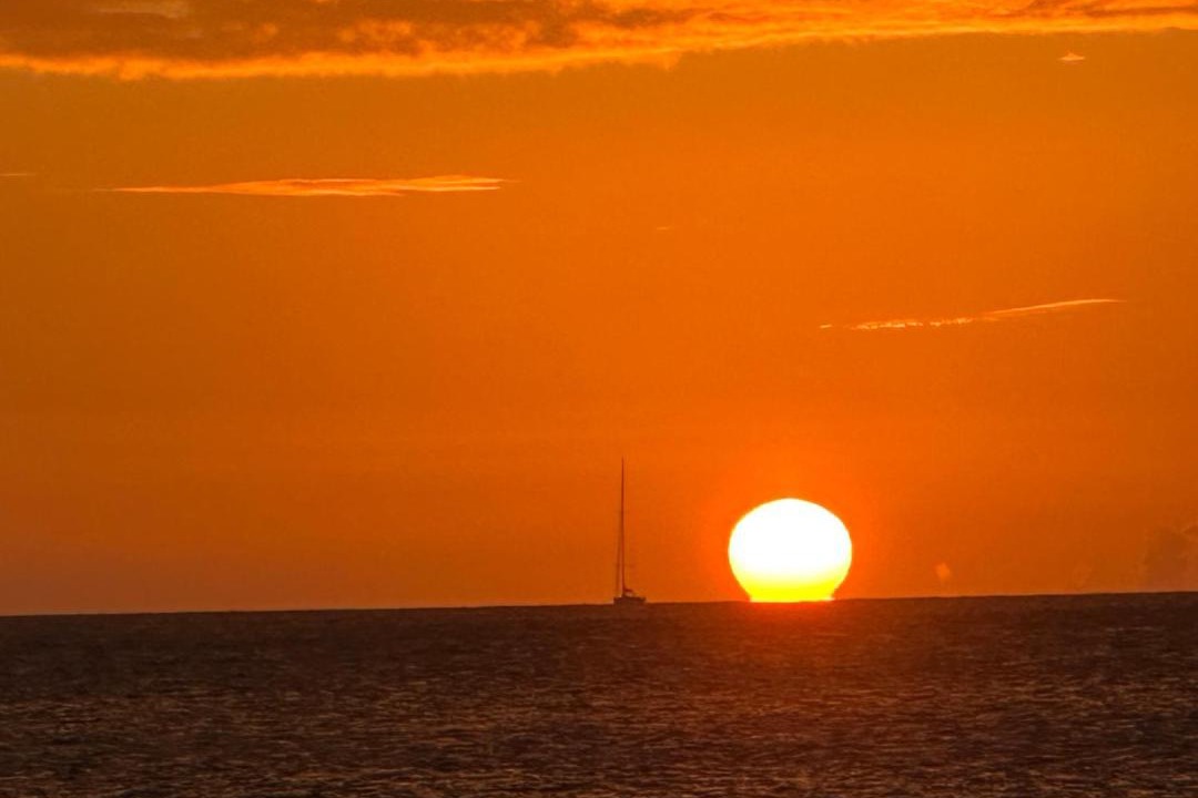 Photo of Others in Pelican Key