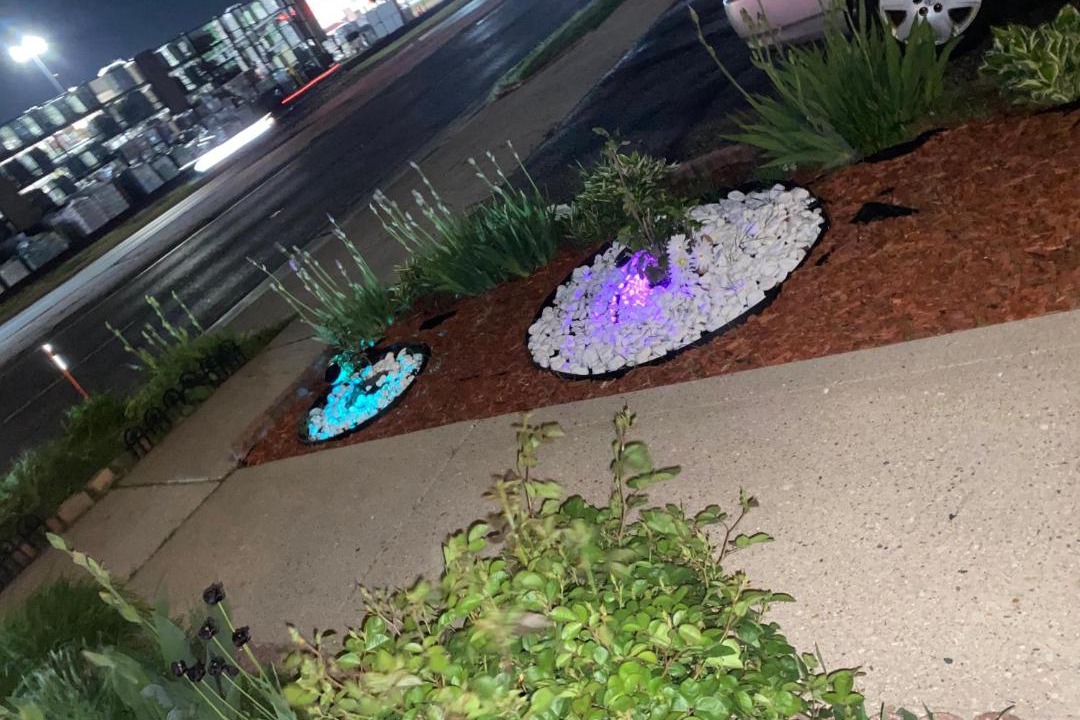 Photo of Others in Niles