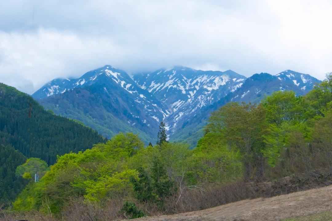 Photo of Others in Yuzawa