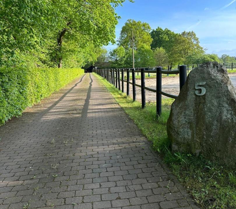 Photo of Others in Deimern