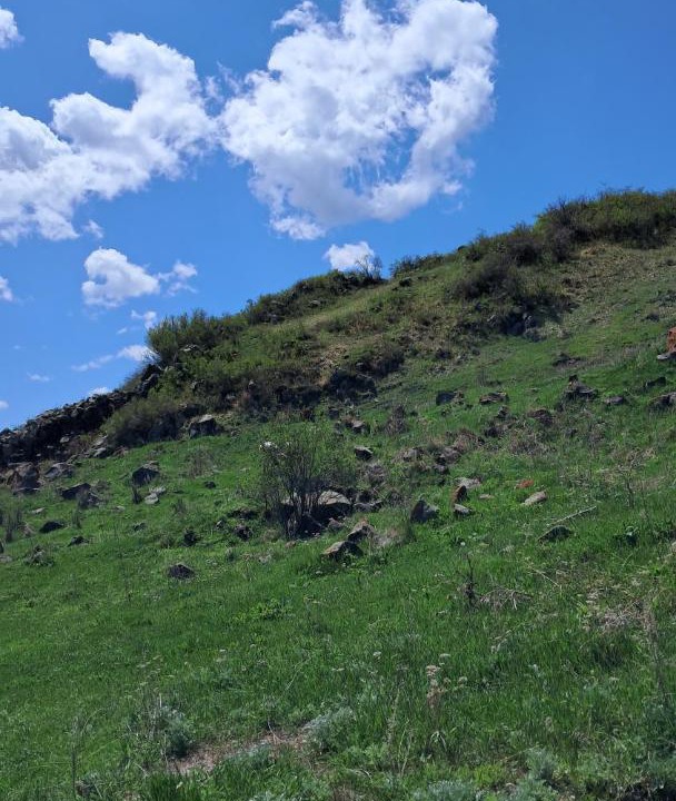Photo of Others in Sevan
