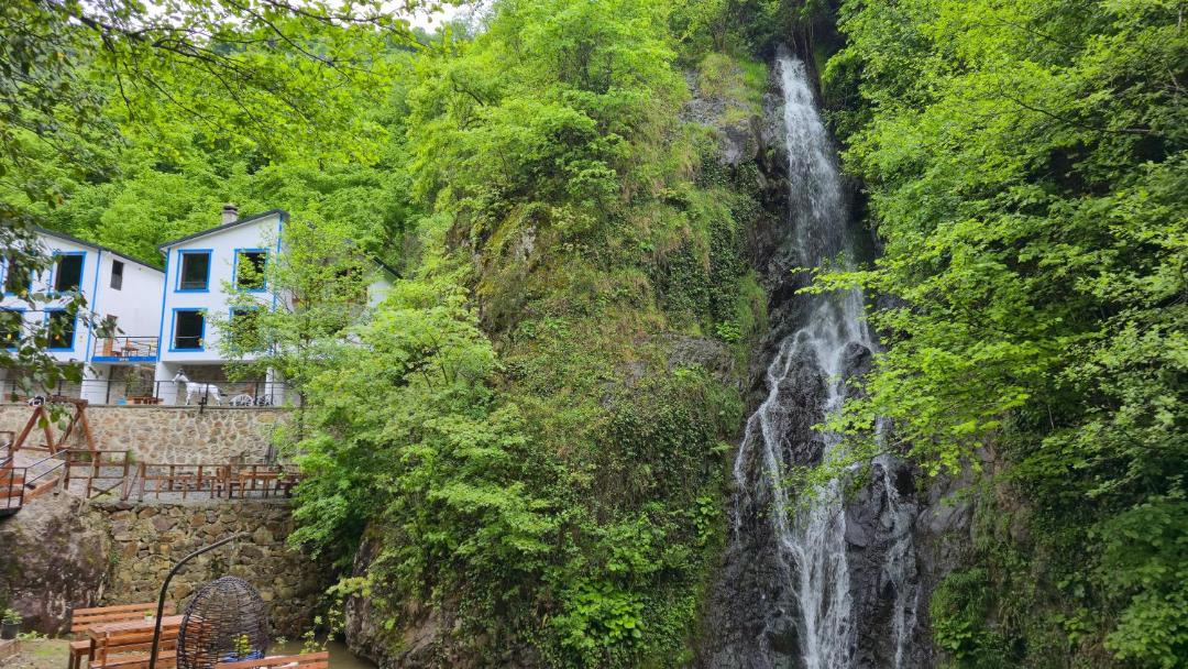 Photo of Others in Trabzon