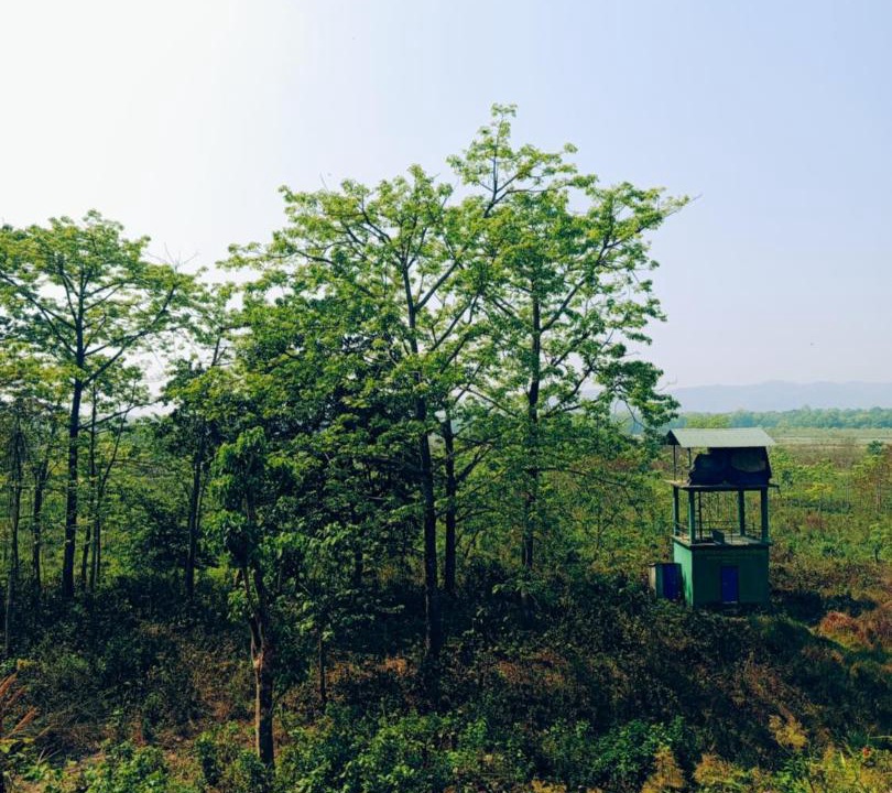 Photo of Others in Chitwan District