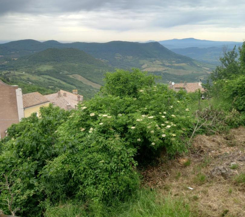 Photo of Others in Tolfa