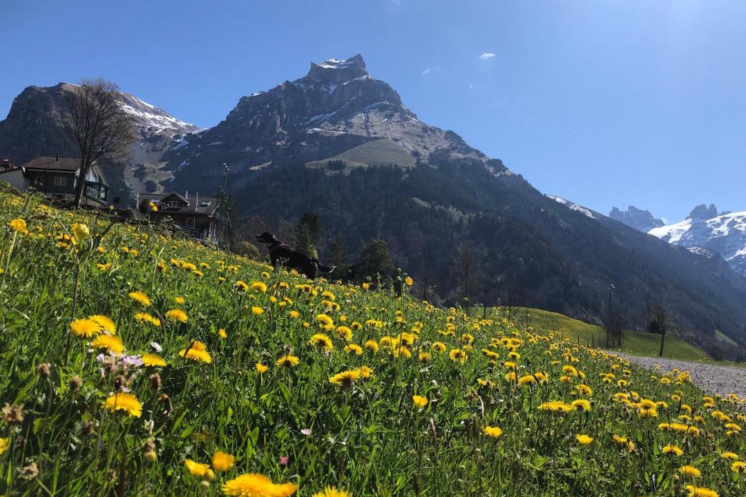 Photo of Others in Engelberg
