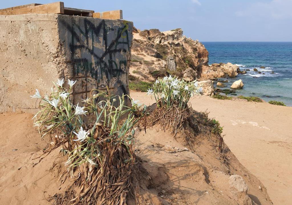 Photo of Others in Hadera