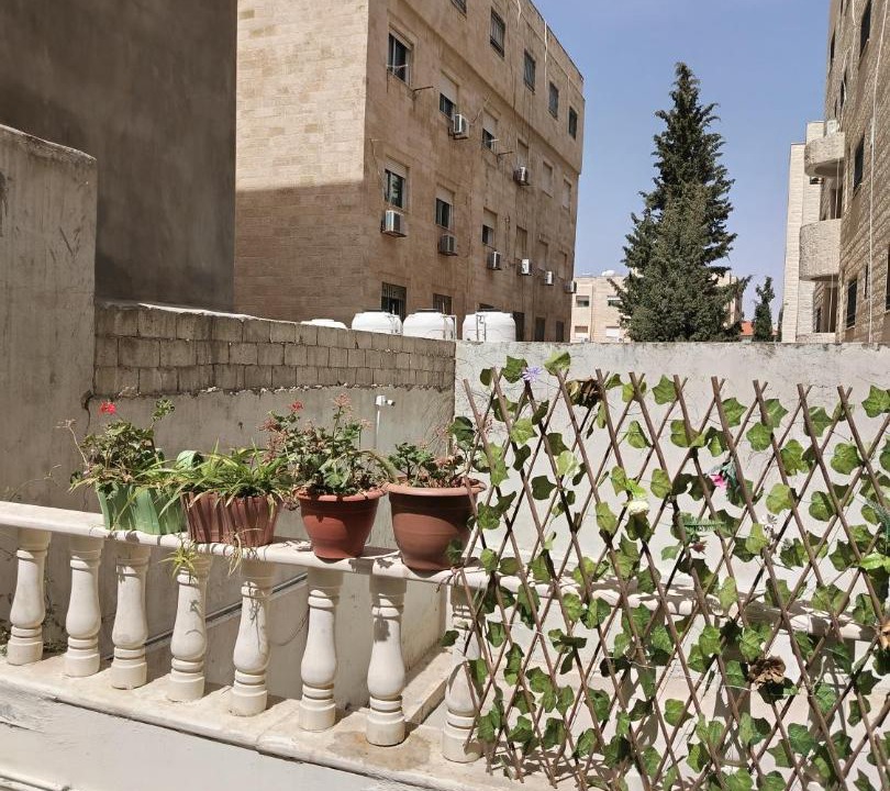 Photo of Others in Al Jubeiha