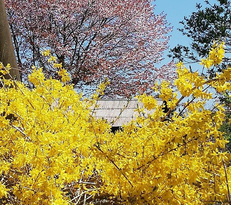 Photo of Outdoor in Noboribetsu