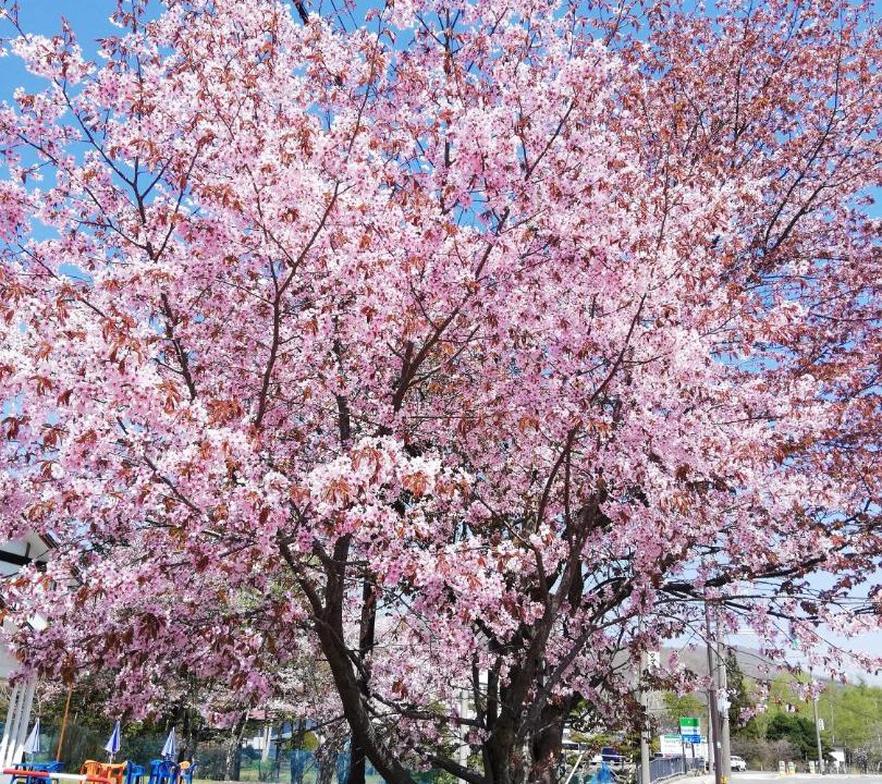 Photo of Outdoor in Noboribetsu
