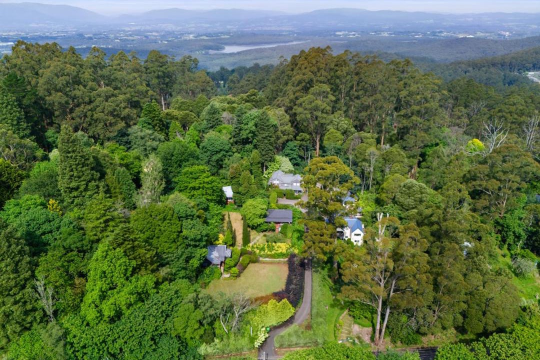 Photo of Others in Mount Dandenong