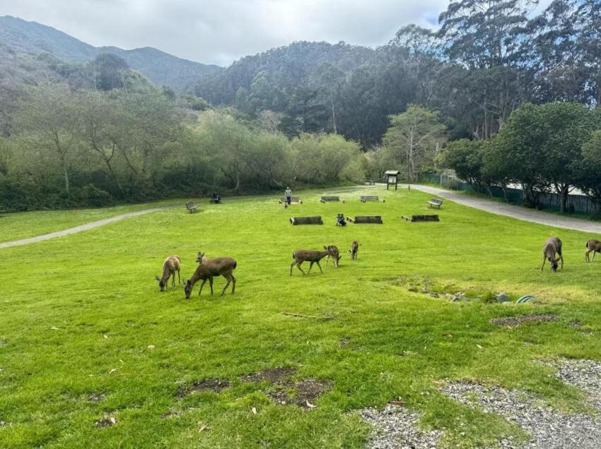 Photo of Others in Sharp Park