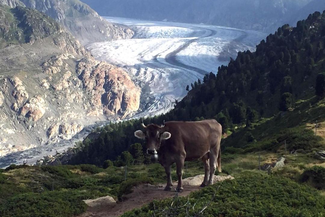 Photo of Others in Riederalp