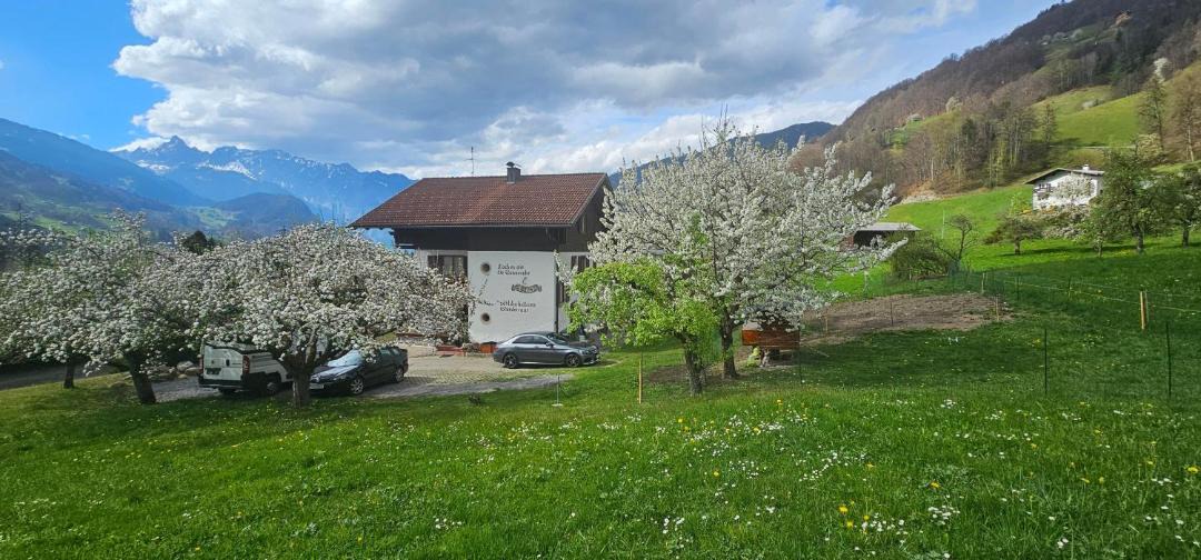 Photo of Others in Schruns