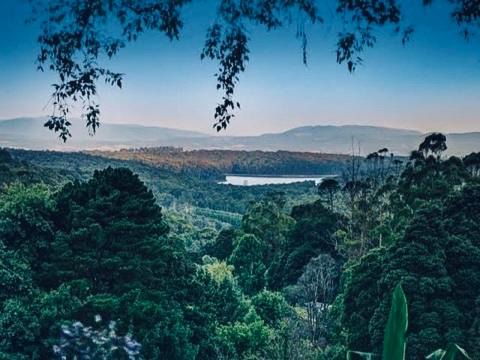 Photo of Others in Kalorama