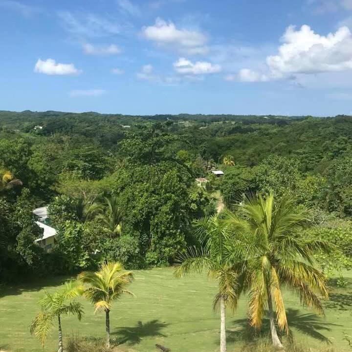 Photo of Others in Negril