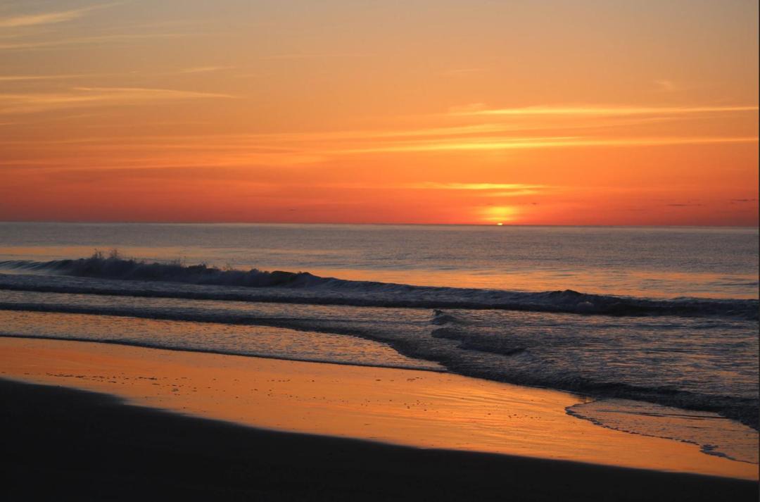 Photo of Others in Pawleys Island