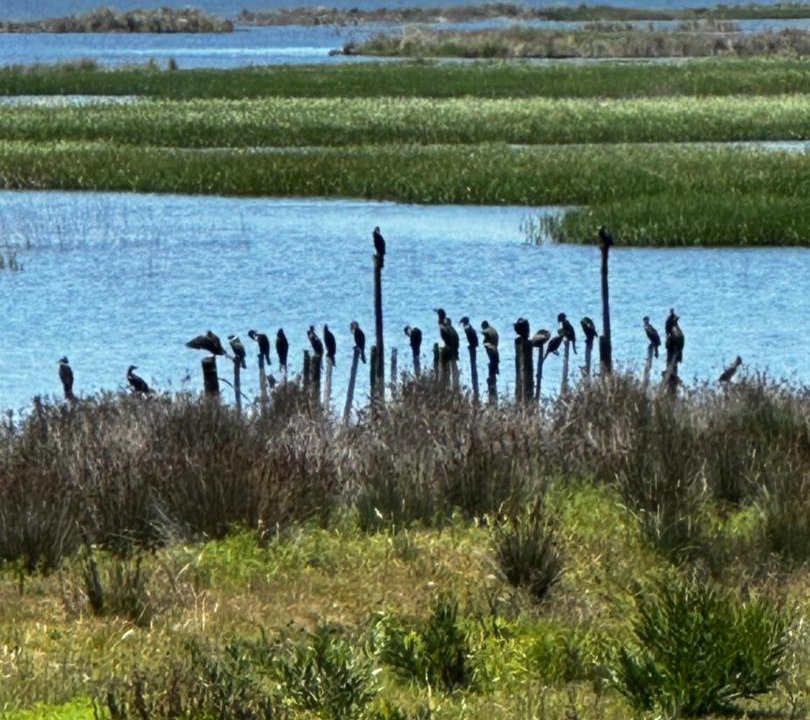 Photo of Others in Jose Ignacio