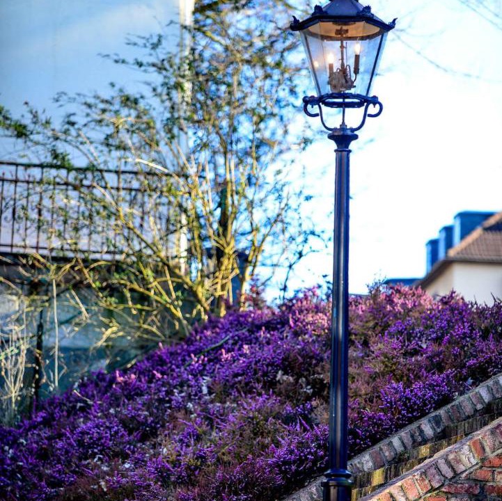Photo of Others in Solingen