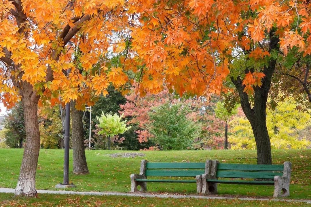 Photo of Others in Saint-Bruno-de-Montarville