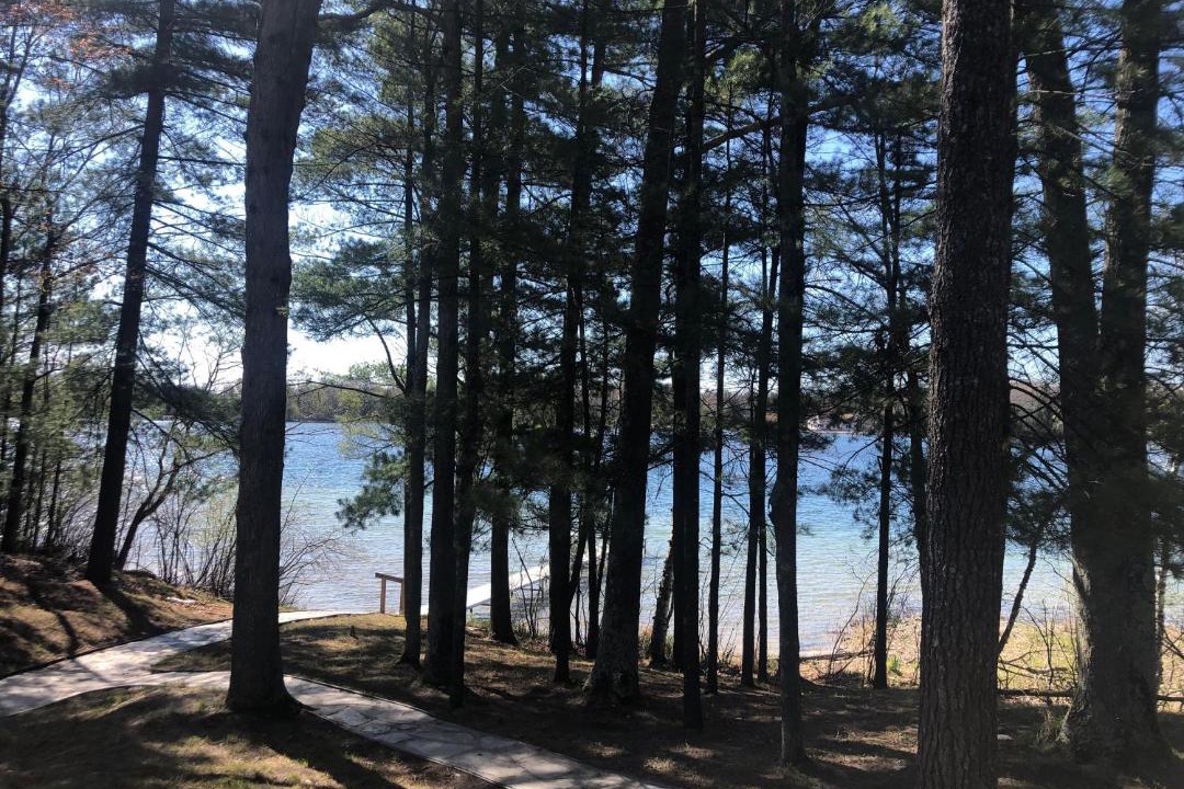 Photo of Others in Interlochen