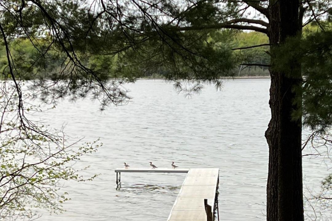 Photo of Others in Interlochen